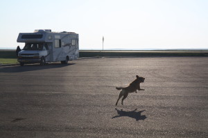 _gus jumps2IMG_9869 copy