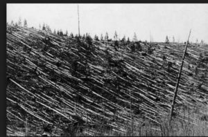 Thousands of square miles of this -- Russia, 1908.