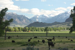 The Rockies. Gotta get back here before the snows....