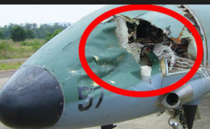 Look again at some bird damage: Think a plane could cut through hardened steel?