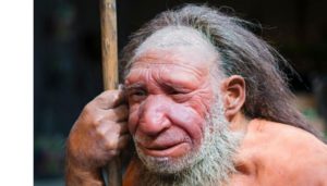 The 'official' version of a Neanderthal male.