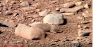 This lemming was supposedly photoed on Mars. 